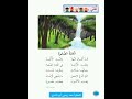 أنشودة الغابة الصغيرة أنشودة الغابة الصغيرة