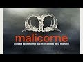 Capture de la vidéo Malicorne - Gavotte (Live Officiel)