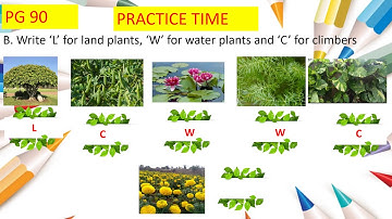 EVS CLASS 1 LESSON 14 SESSION 3: PLANTS