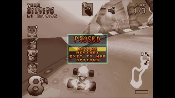 CTR Crash Team Racing Roo