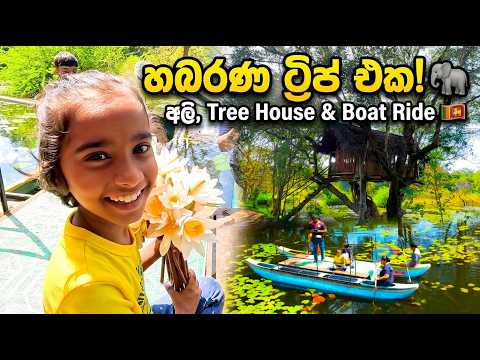 Habarana Family Vlog 🐘 |අලි බලන්න වැවේ ඔරු පදින්න ගිය සුපිරි ට්‍රිප් එක! 🚣‍♂️| wisdom wild habarana