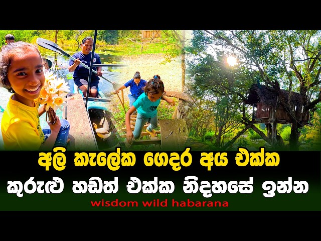 අලි කැලේක ගෙදර අයත් එක්ක දවසක් 🐘 |Our Habarana Family Vacation Vlog🚣‍♂️| wisdom wild habarana