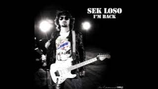 ขอตายในอ้อมกอดเธอ - Sek Loso [ Audio]