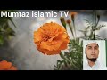 Surah yaseen islamic tv mumtaz ansari