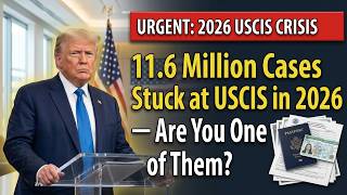11.6 Million Cases Stuck at USCIS in 2026 — Are You One of Them?