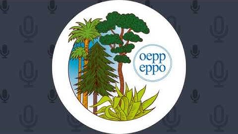 Webinar for the EPPO Codes Users