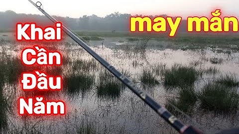 Câu lure Cá Lóc Đầu năm đầy may mắn | Quang Hưng Vlog