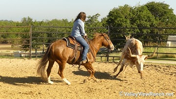 Cashh Flo - working cows! - ValleyViewRanch.net
