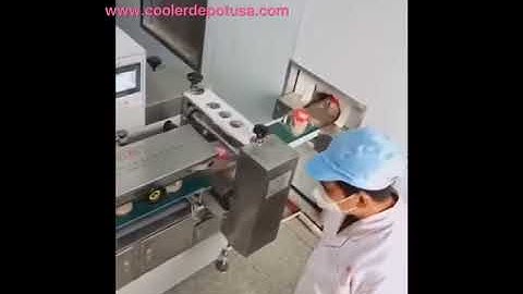 Packaging Line for PE Film Shrink Wrapping Automatic Plastic Film Bottle Heat Shrink Packing Machine