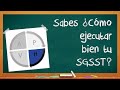 Ejecución del Sistema de Gestión de la Seguridad y Salud en el Trabajo