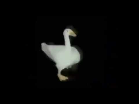 El Ganzo (feat. El Bananero) bailado por un Ganzo