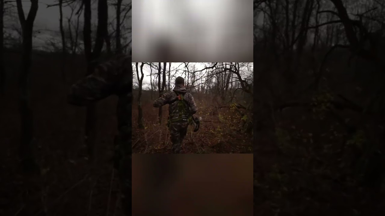 Massive Buck Appears in Woods! You Won't Believe Its Size! #shorts