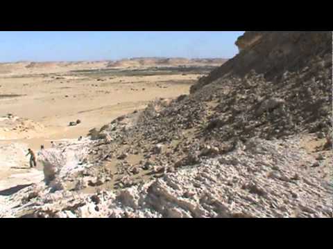 Siwa Shell The Desert Outside Siwa, Egypt- Finding Some Shells - YouTube