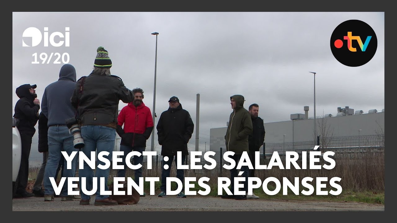 Ynsect : les anciens employés manifestent devant l’usine