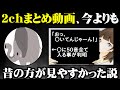 2chまとめ動画の歴史的なのを振り返ってみた【ゆっくり解説】