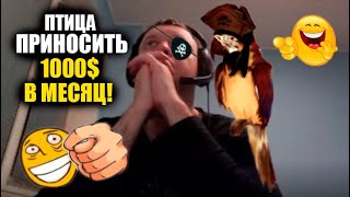 Папич изобрел новый вид фарма через птицу!