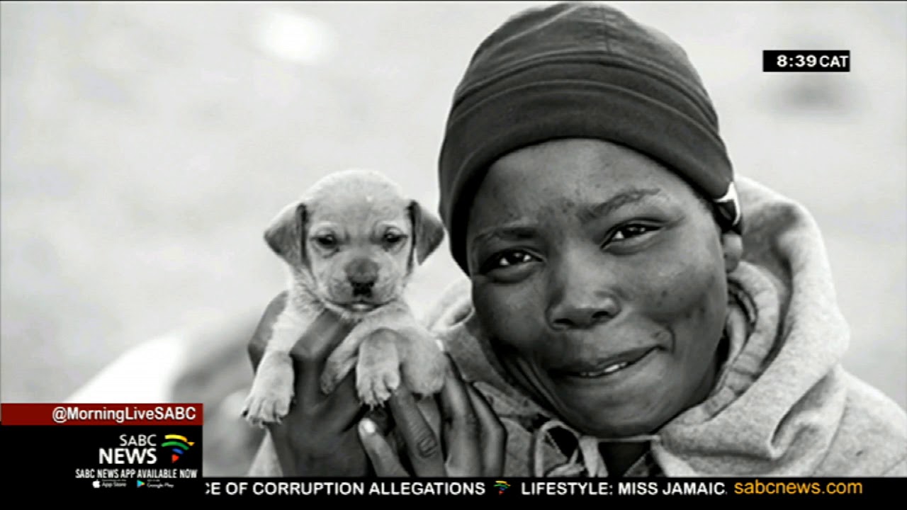 Pug rescue and Thanda Inja initiative aim at providing quality care for dogs