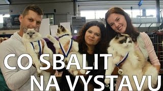 CO SI VZÍT NA VÝSTAVU KOČEK? // CAT-MANIA #12