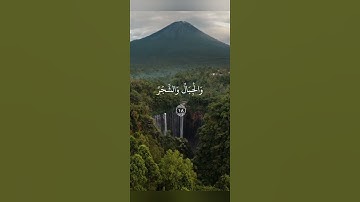 ياسر الدوسري سورة الحج | #راحة_نفسية #قران_كريم #آيات #ياسر_الدوسري #صوت_جميل #الحج