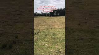 Prime farmland for sale in Naivasha #realestate #agricultural #farming #property