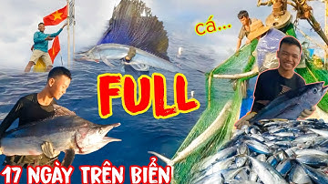 FULL LƯỚI XÙ ĐẰM_Những Màn Kéo Cá Đến Ngộp Thở_17 Ngày Đánh Bắt Cá Thu,Cá Ngừ  Không Ngừng Nghĩ