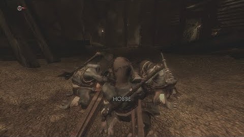 Fable II (Xbox 360) - Hobbe Cave