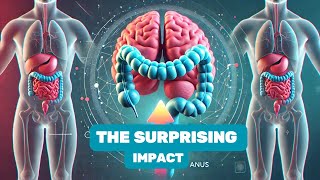 How Your Anus Impacts Your Mental Health🌱🧠