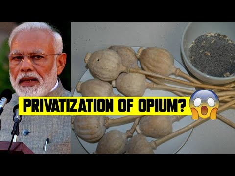 Privatization of opium? | A quick one