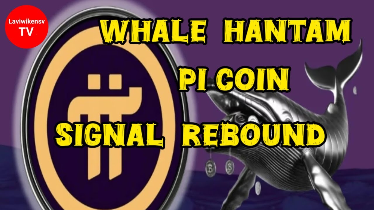 WHALE HANTAM PI COIN SIGNAL REBOUND
