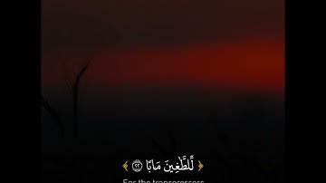 تلاوة هادئة القارئ فؤاد كريم الكردي