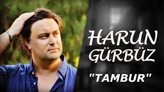 Harun Gürbüz - Tambur Resimi