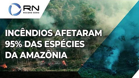 Qual a importância das clareiras na dinâmica das florestas?