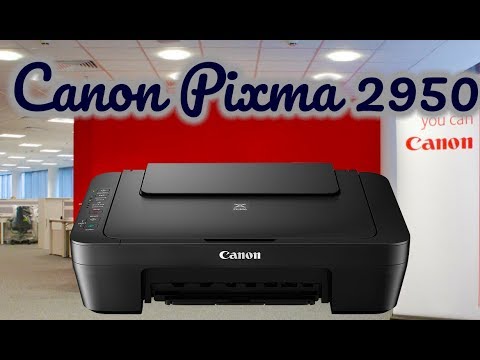 Canon PIXMA MG2950 review - hands on - first impression | Unboxing