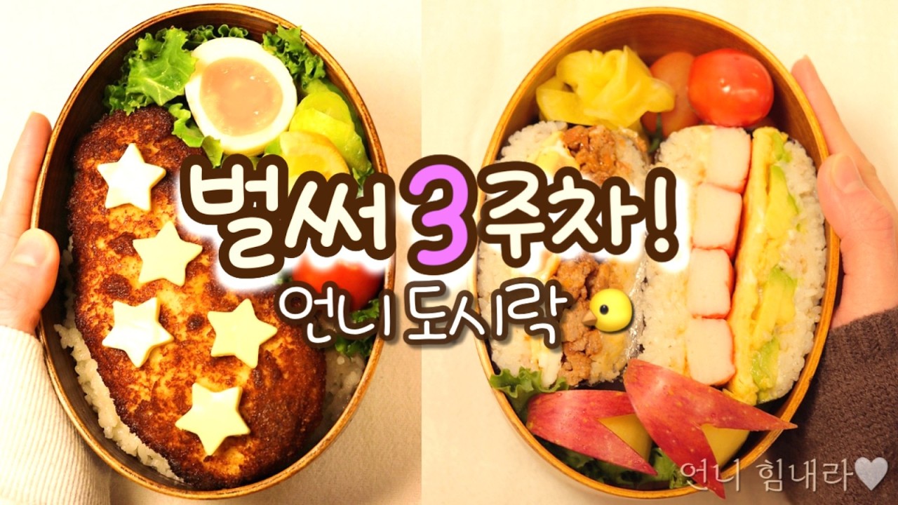 “언니 힘내” 도시락 시리즈 3주째! 월화수 든든 메뉴🍱🤍