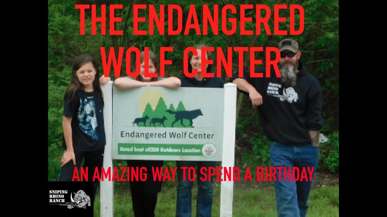 The Endangered Wolf Center - Stephen's Birthday Trip to St. Louis