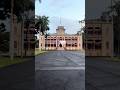 🌧️ Rainy Morning Walk at Iolani Palace, Honolulu