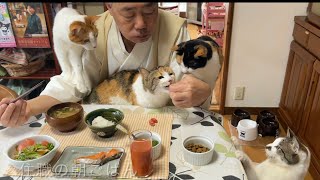 田舎の小さな寺の日常