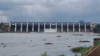 2 Gate Opning Gangrel Dam Dhamtari 2025