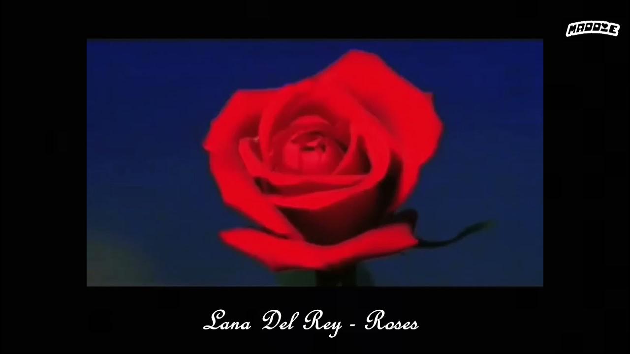 🥀 𝐋𝐚𝐧𝐚 𝐃𝐞𝐥 𝐑𝐞𝐲 𝐑𝐨𝐬𝐞𝐬 (𝟏 𝐡𝐨𝐮𝐫 𝐋𝐎𝐎𝐏) YouTube