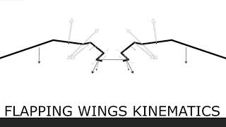 Flapping Wings Kinematics