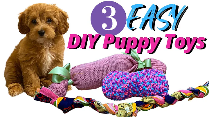 3 EASY DIY DOG TOYS TUTORIAL