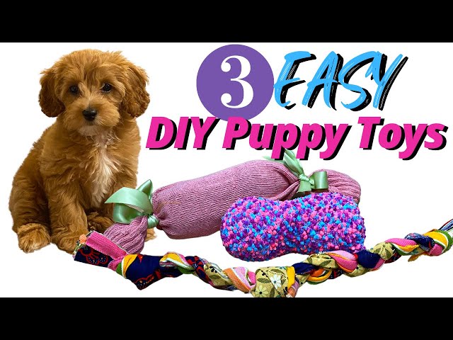 3 Easy Diy Dog Toys Tutorial You