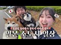 지방 발령난 일본인 남자친구 따라 소도시 일상 체험🍃￼