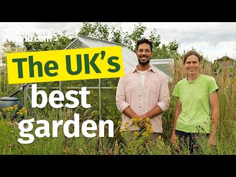 No Garden? No Problem! This Allotment Just Won Best of the Best