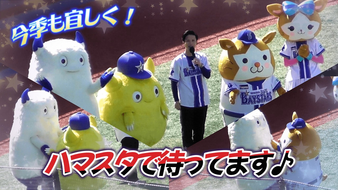 【2026/3/5 横浜スタジアム】また会えたね！今季もスターマン＆キララ、バート＆チャピーのハマスタマスコットに会いに行こう♪