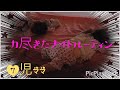 【ナイトルーティン】7児ママの夜【ワンオペ育児】