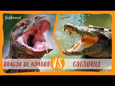 Vídeo: Los Científicos Han Reconocido La Sangre De Dragones Y Cocodrilos Como Curativa - Vista Alternativa