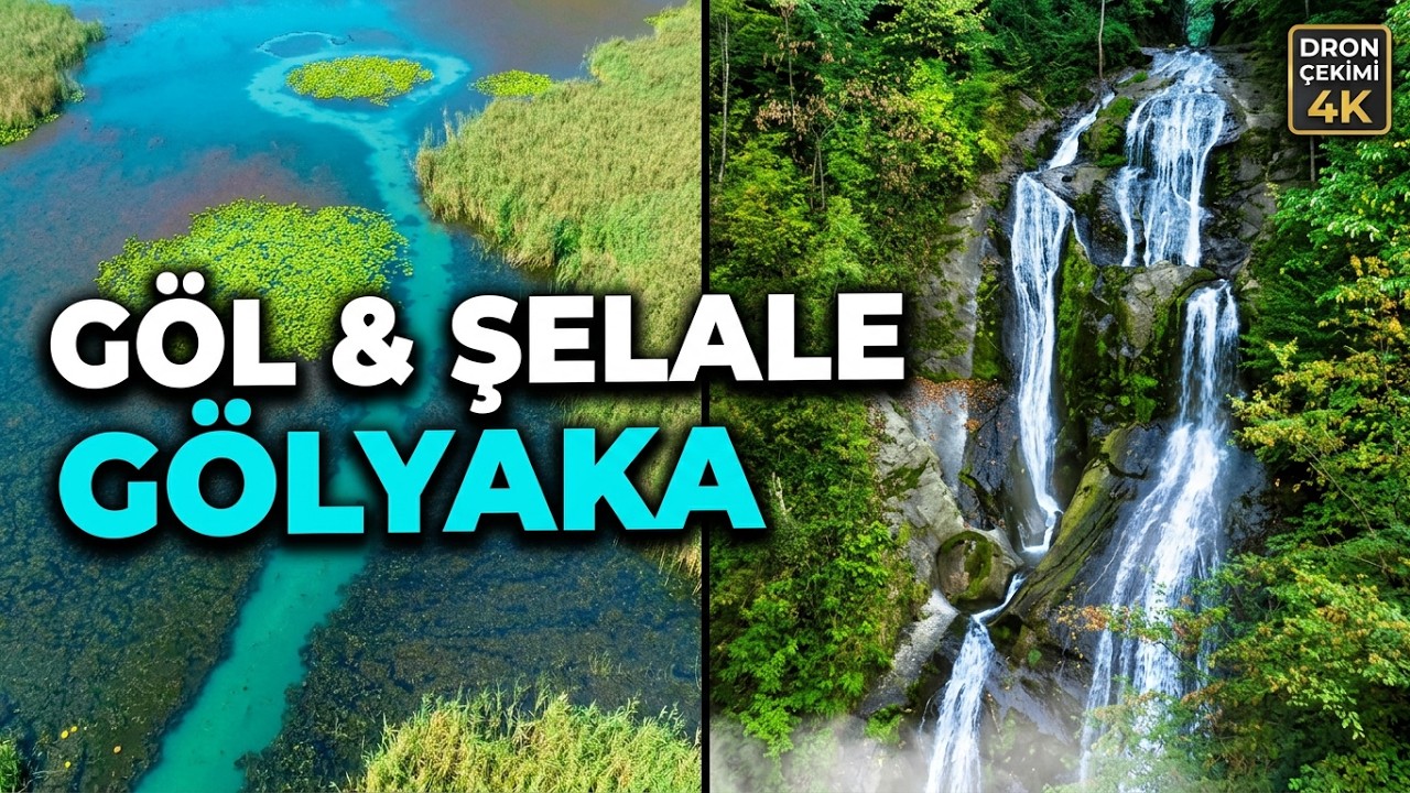 Düzce Gölyaka Belediyesi Efteni Gölü ve Güzeldere Şelalesi Dron Çekimi | FotoSerce.com