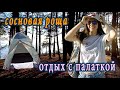 Влог: Геленджик. Кемпинг с палатками. Сосновая роща. Маршрут.