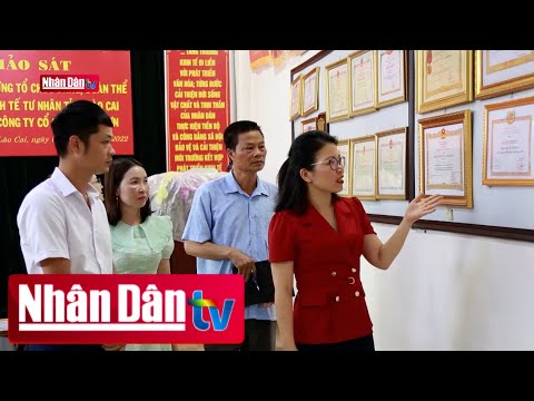 Video Đẩy mạnh phát triển Đảng trong các đơn vị ngoài Nhà... - youtube